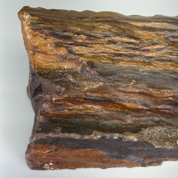 Petrified Wood - Picture 6 of 11